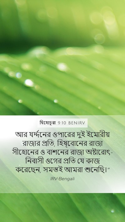 যিহোচূৱা 9:10 BENIRV Bible Verse Image