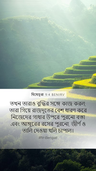 যিহোচূৱা 9:4 BENIRV Bible Verse Image