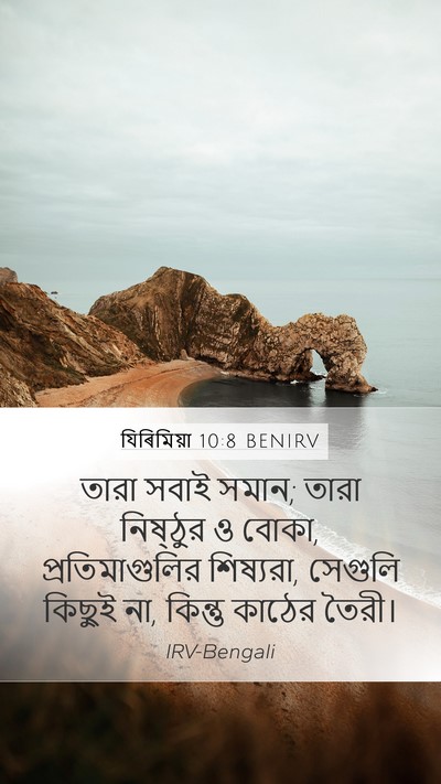 যিৰিমিয়া 10:8 BENIRV Bible Verse Image