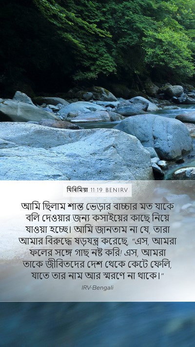 যিৰিমিয়া 11:19 BENIRV Bible Verse Image