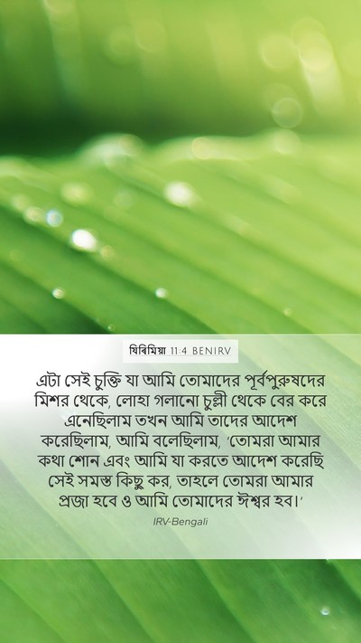 যিৰিমিয়া 11:4 BENIRV Bible Verse Image