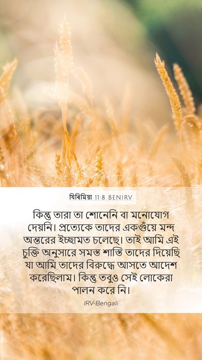 যিৰিমিয়া 11:8 BENIRV Bible Verse Image