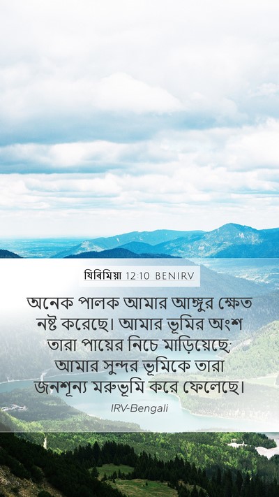 যিৰিমিয়া 12:10 BENIRV Bible Verse Image