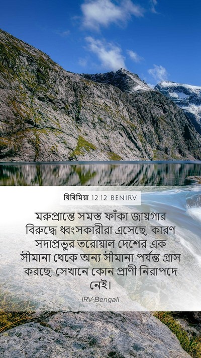 যিৰিমিয়া 12:12 BENIRV Bible Verse Image