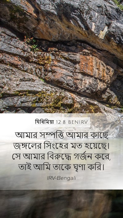 যিৰিমিয়া 12:8 BENIRV Bible Verse Image