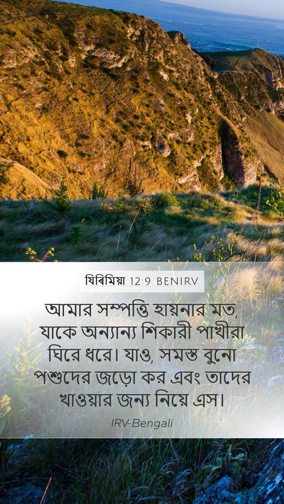 যিৰিমিয়া 12:9 BENIRV Bible Verse Image