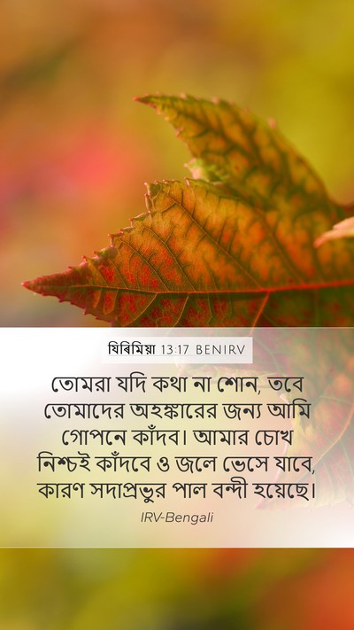 যিৰিমিয়া 13:17 BENIRV Bible Verse Image