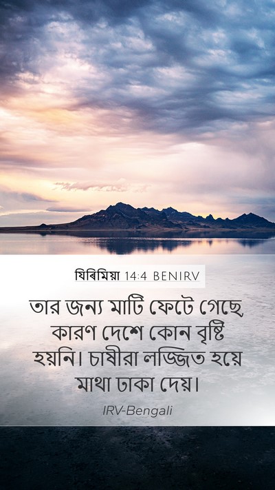 যিৰিমিয়া 14:4 BENIRV Bible Verse Image