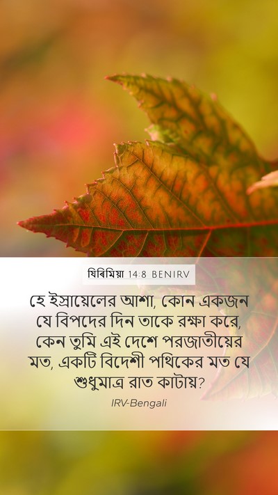যিৰিমিয়া 14:8 BENIRV Bible Verse Image