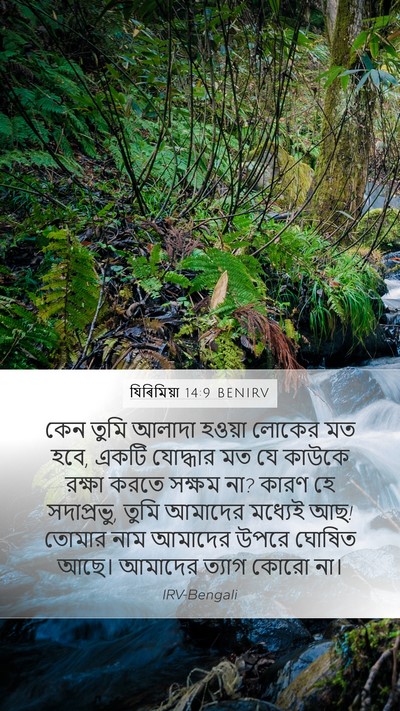যিৰিমিয়া 14:9 BENIRV Bible Verse Image