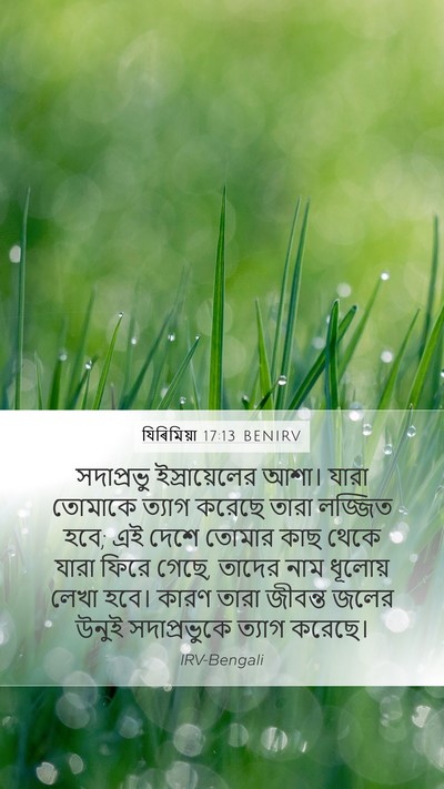 যিৰিমিয়া 17:13 BENIRV Bible Verse Image