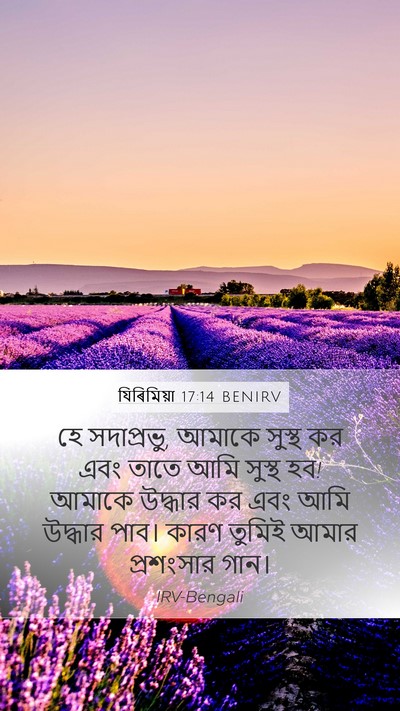 যিৰিমিয়া 17:14 BENIRV Bible Verse Image