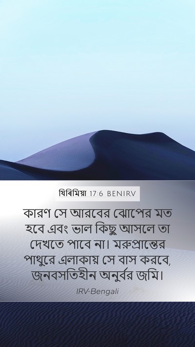 যিৰিমিয়া 17:6 BENIRV Bible Verse Image