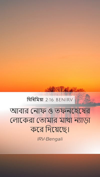 যিৰিমিয়া 2:16 BENIRV Bible Verse Image