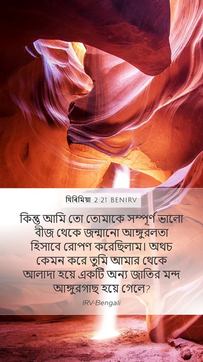 যিৰিমিয়া 2:21 BENIRV Mobile Phone Wallpaper - কিন্তু আমি তো - Mobile Bible Verse Wallpaper