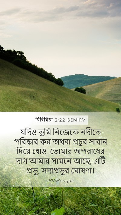 যিৰিমিয়া 2:22 BENIRV Bible Verse Image