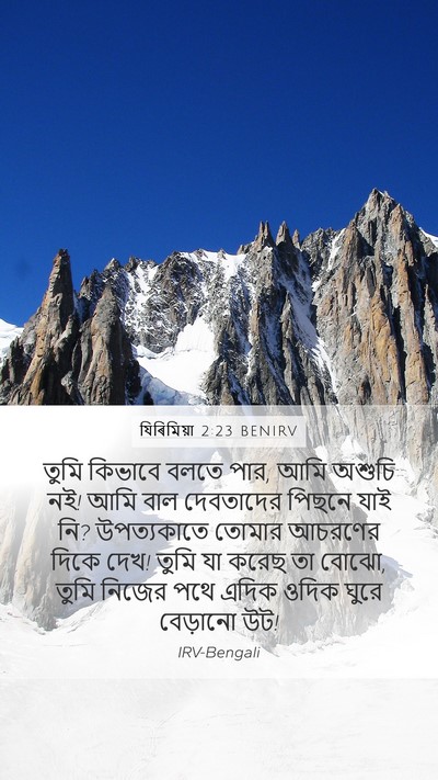 যিৰিমিয়া 2:23 BENIRV Bible Verse Image