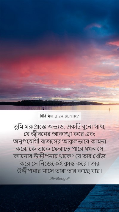 যিৰিমিয়া 2:24 BENIRV Bible Verse Image
