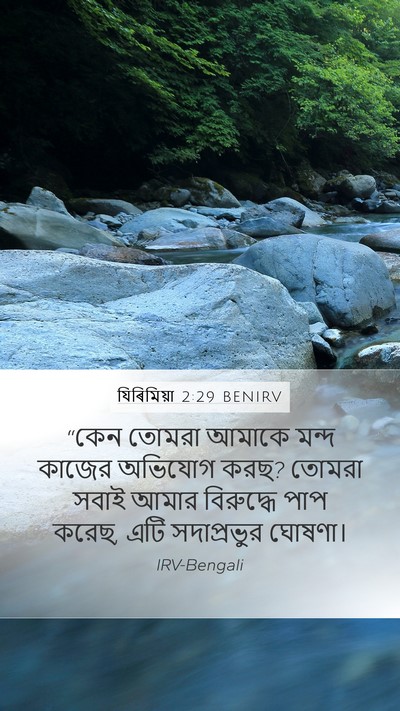 যিৰিমিয়া 2:29 BENIRV Bible Verse Image