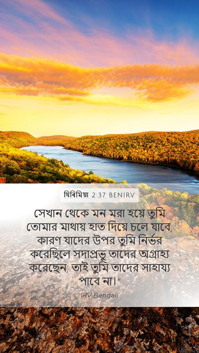 যিৰিমিয়া 2:37 BENIRV Bible Verse Image