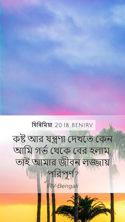 যিৰিমিয়া 20:18 BENIRV Bible Verse Image