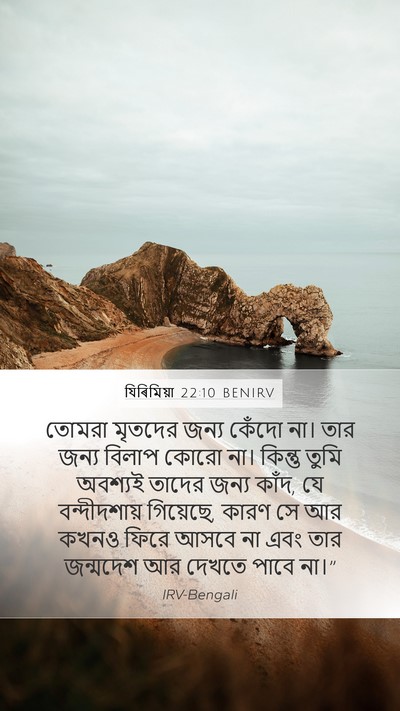 যিৰিমিয়া 22:10 BENIRV Bible Verse Image