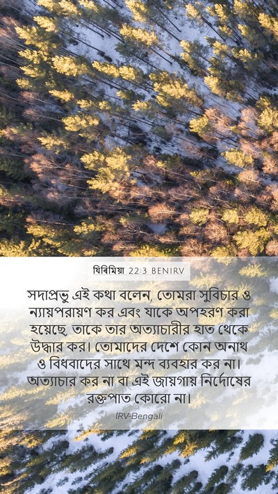 যিৰিমিয়া 22:3 BENIRV Bible Verse Image