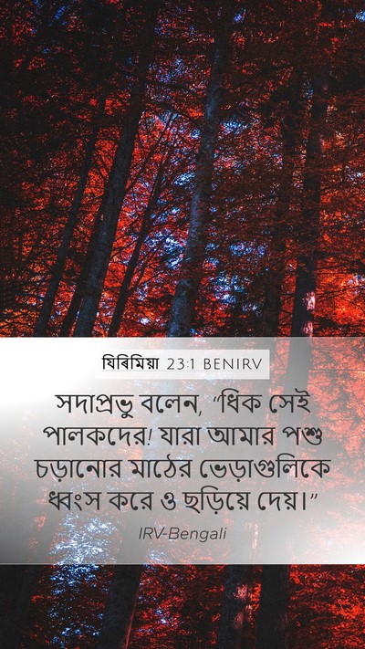যিৰিমিয়া 23:1 BENIRV Bible Verse Image