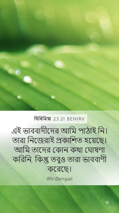 যিৰিমিয়া 23:21 BENIRV Bible Verse Image