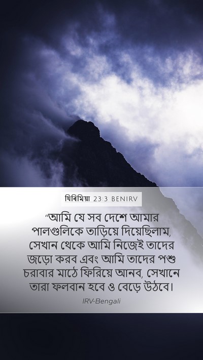 যিৰিমিয়া 23:3 BENIRV Bible Verse Image