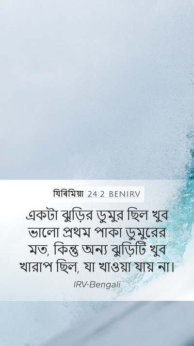 যিৰিমিয়া 24:2 BENIRV Bible Verse Image