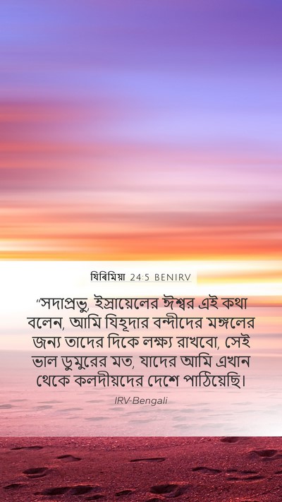 যিৰিমিয়া 24:5 BENIRV Bible Verse Image
