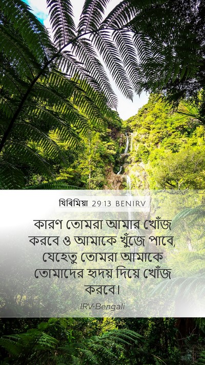 যিৰিমিয়া 29:13 BENIRV Bible Verse Image