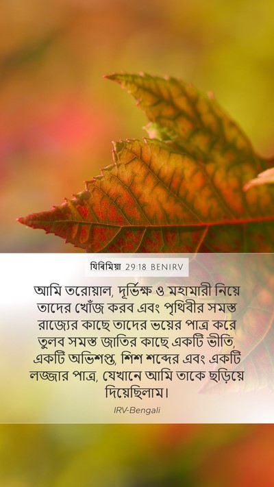 যিৰিমিয়া 29:18 BENIRV Bible Verse Image
