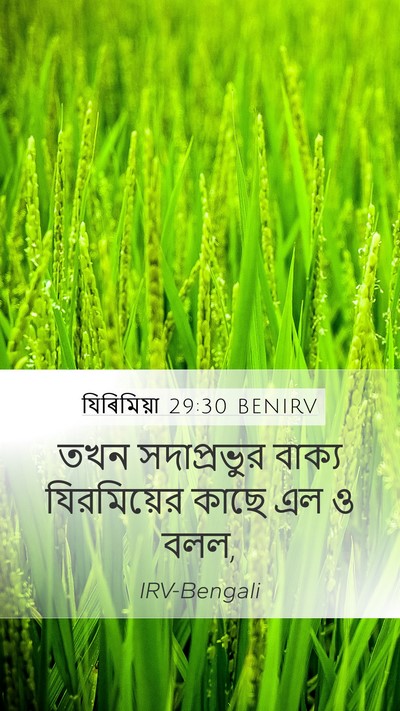 যিৰিমিয়া 29:30 BENIRV Bible Verse Image