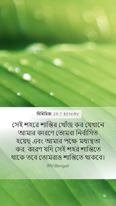 যিৰিমিয়া 29:7 BENIRV Bible Verse Image