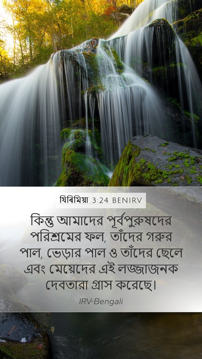 যিৰিমিয়া 3:24 BENIRV Bible Verse Image