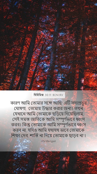 যিৰিমিয়া 30:11 BENIRV Bible Verse Image