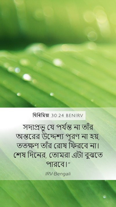 যিৰিমিয়া 30:24 BENIRV Bible Verse Image