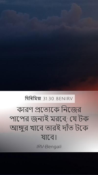 যিৰিমিয়া 31:30 BENIRV Bible Verse Image