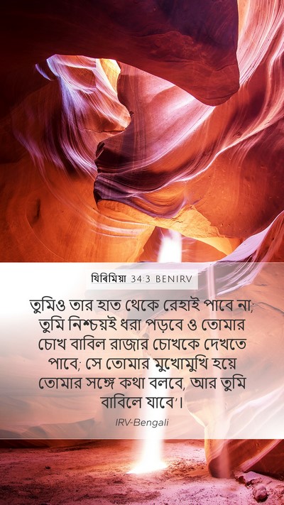 যিৰিমিয়া 34:3 BENIRV Bible Verse Image
