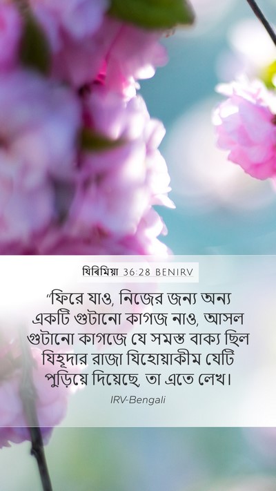 যিৰিমিয়া 36:28 BENIRV Bible Verse Image