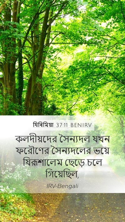 যিৰিমিয়া 37:11 BENIRV Bible Verse Image