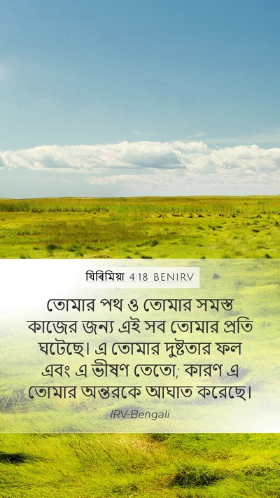 যিৰিমিয়া 4:18 BENIRV Bible Verse Image