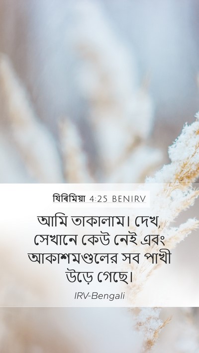 যিৰিমিয়া 4:25 BENIRV Bible Verse Image
