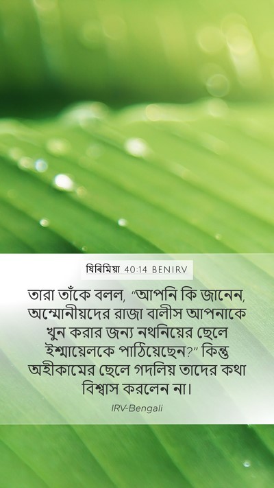 যিৰিমিয়া 40:14 BENIRV Bible Verse Image