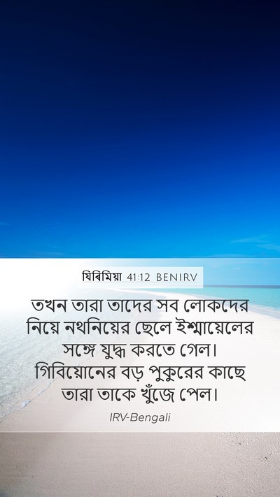 যিৰিমিয়া 41:12 BENIRV Bible Verse Image