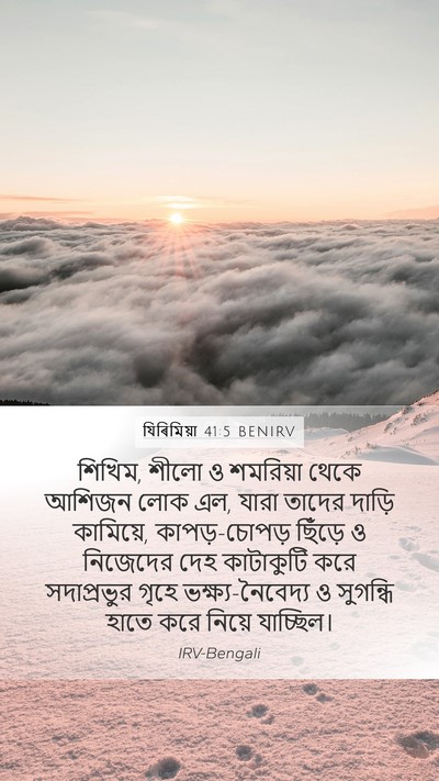 যিৰিমিয়া 41:5 BENIRV Bible Verse Image