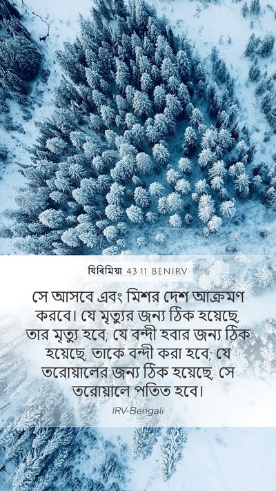 যিৰিমিয়া 43:11 BENIRV Bible Verse Image