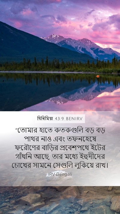 যিৰিমিয়া 43:9 BENIRV Bible Verse Image